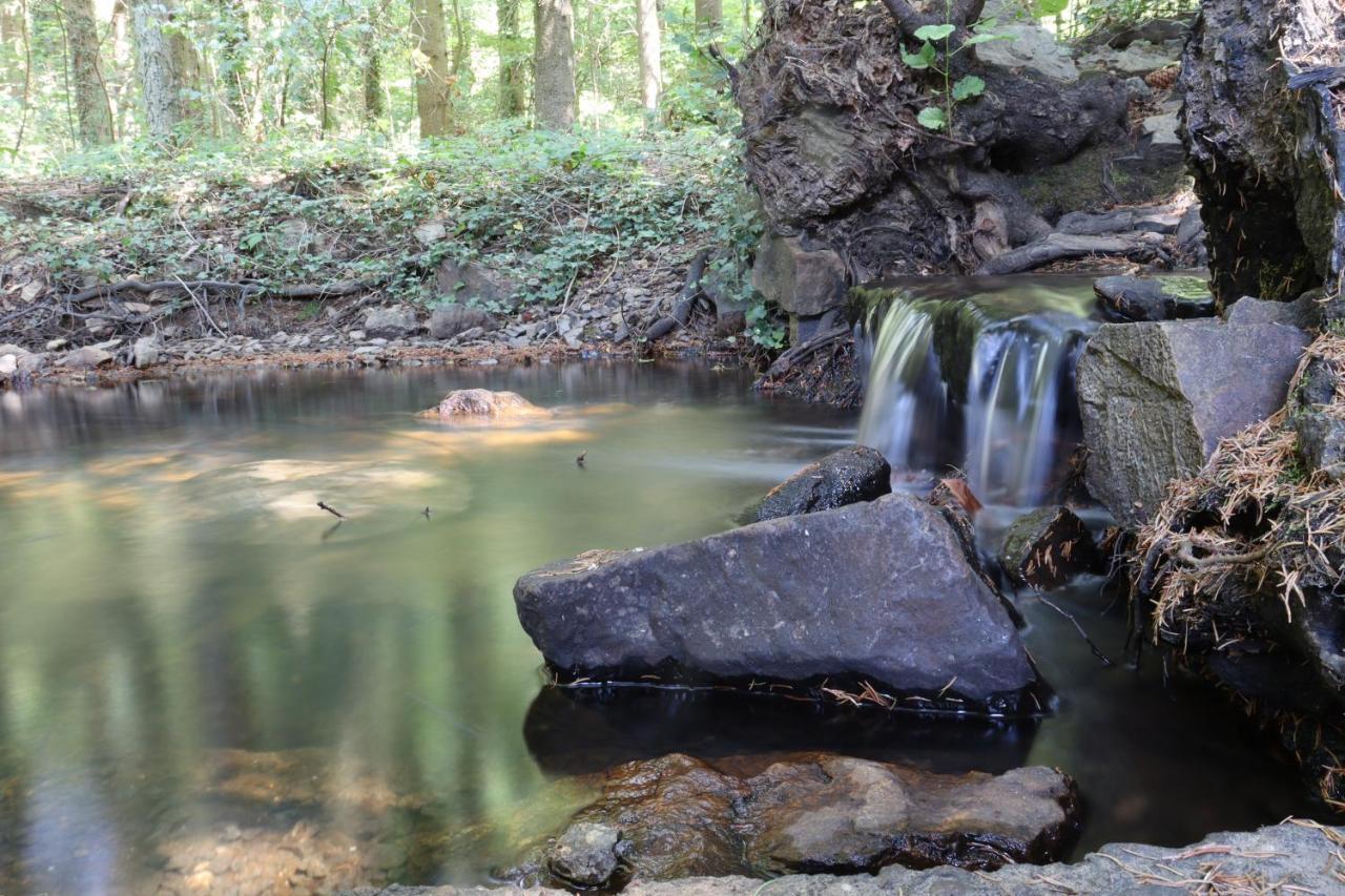 Bio-Ferienhaus-Eifel Rott  Exteriér fotografie