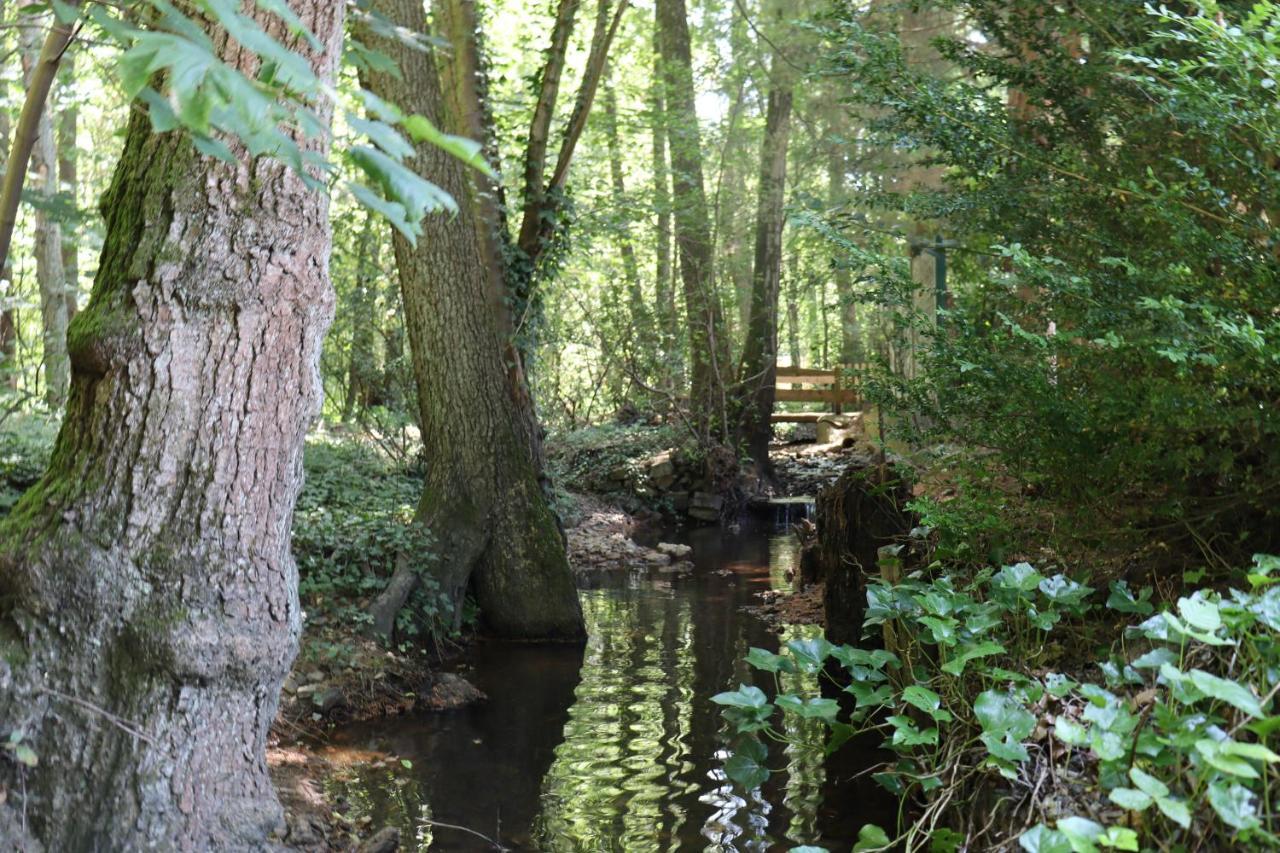 Bio-Ferienhaus-Eifel Rott  Exteriér fotografie