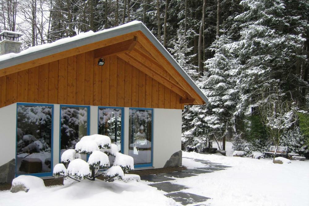 Bio-Ferienhaus-Eifel Rott  Exteriér fotografie